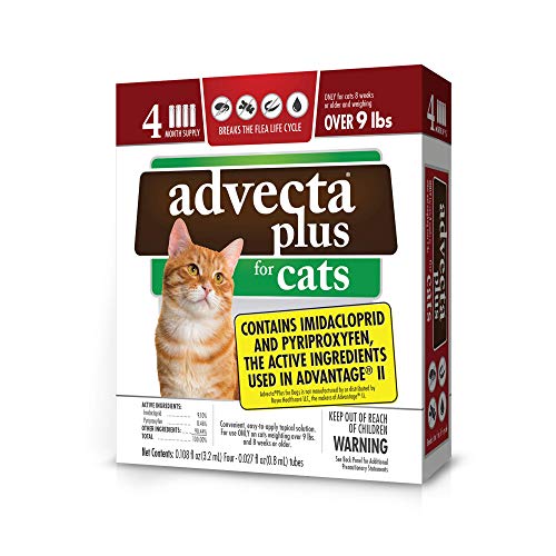 Advecta Plus Flea Protection for Large Cats, Long-Lasting and Fast-Acting Topical Flea Prevention, 4 Count