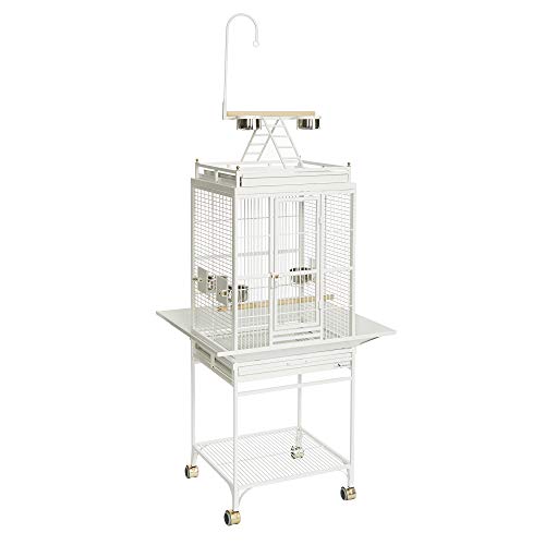 Avian Adventures Nina Playtop Bird Cage