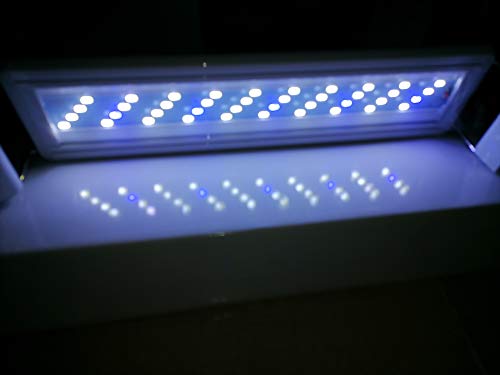 Bright Classic LED Aquarium Light, Reef Plant Fish Tank Light with Extendable Brackets