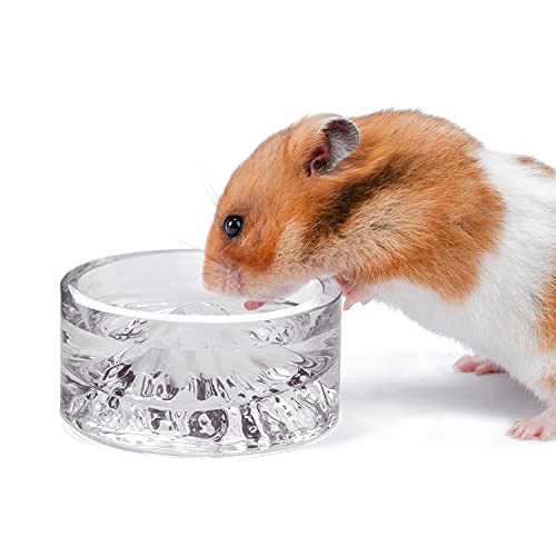 Small Animal Glass Drinking Bowls for Dwarf Syrian Hamsters Gerbils Mice Rats or Other