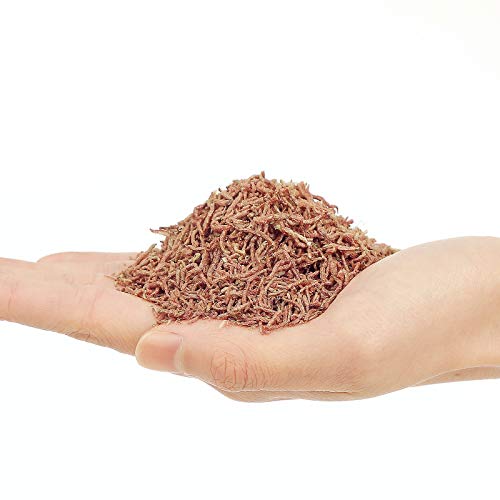 Freeze Dried Bloodworms Fish Food - 2 OZ Tropical Freshwater Betta Fish Aquatic Food