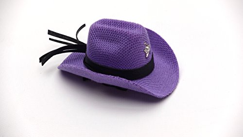 Carolina Designer Dragons' Bearded Dragon Cowboy Hat, Purple