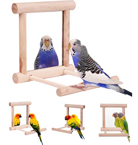 HAPPTYTOY Bird Toy for Parrot Parakeets Conures Cockatiels Cage Swing Wooden Fun Play Toy for Birds (Mirror)