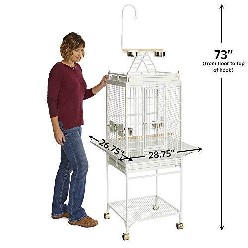 Avian Adventures Nina Playtop Bird Cage