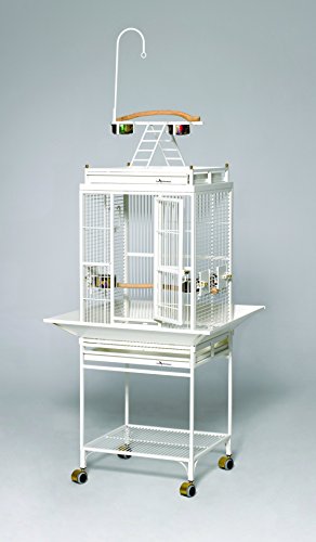 Avian Adventures Nina Playtop Bird Cage