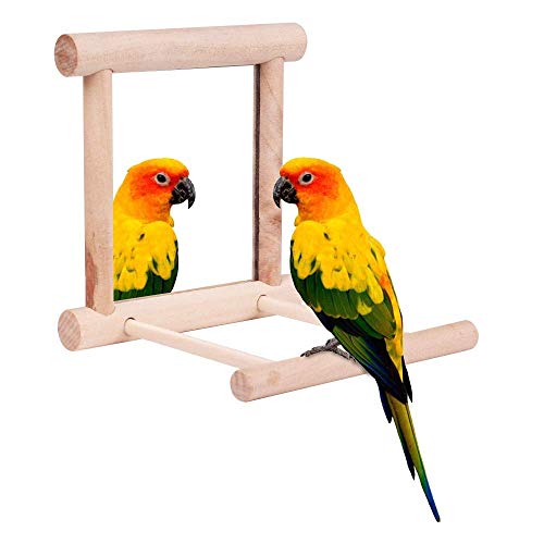 HAPPTYTOY Bird Toy for Parrot Parakeets Conures Cockatiels Cage Swing Wooden Fun Play Toy for Birds (Mirror)