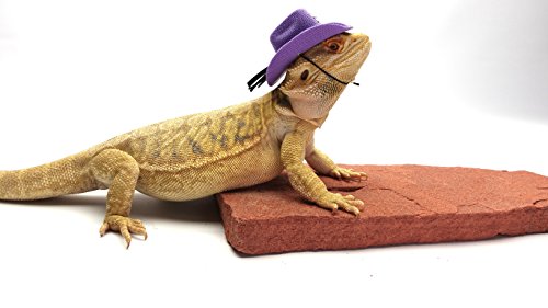 Carolina Designer Dragons' Bearded Dragon Cowboy Hat, Purple