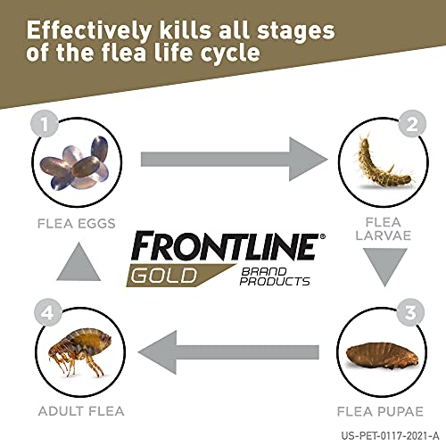 FRONTLINE Gold for Cats Flea & Tick Spot Treatment, 3ct