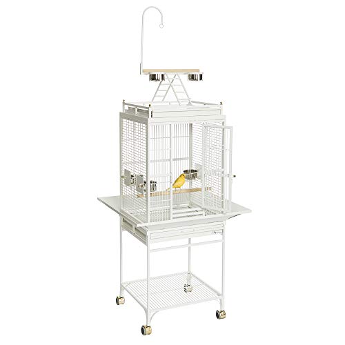 Avian Adventures Nina Playtop Bird Cage