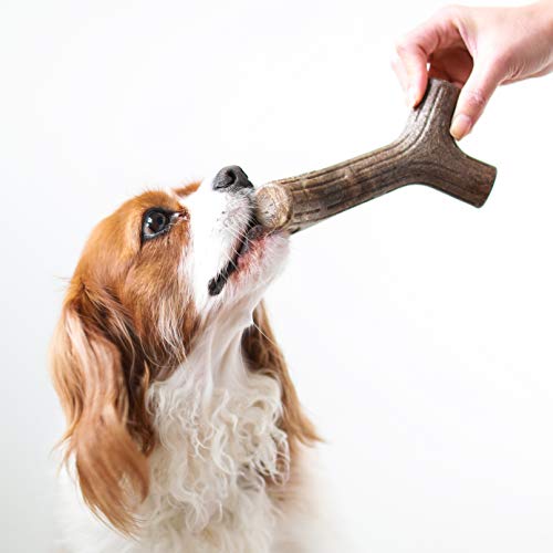 Benebone Maplestick Real Wood Durable Dog Chew Toy, Made in USA, Medium