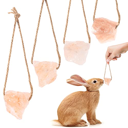 Small Pets Lick Salt Block on Rope- Natural Small Animal Mineral Salt Chew Toys