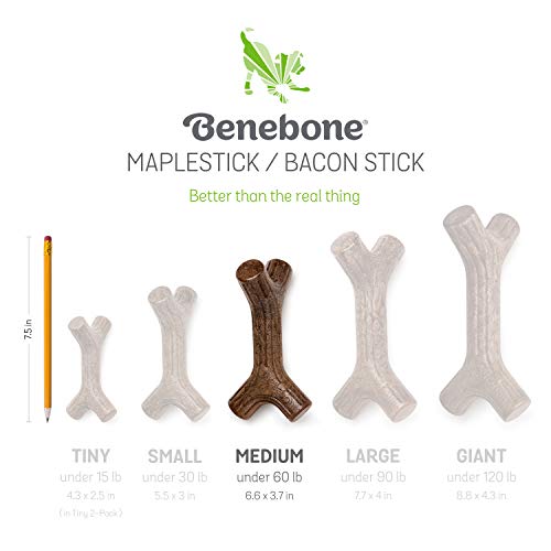 Benebone Maplestick Real Wood Durable Dog Chew Toy, Made in USA, Medium