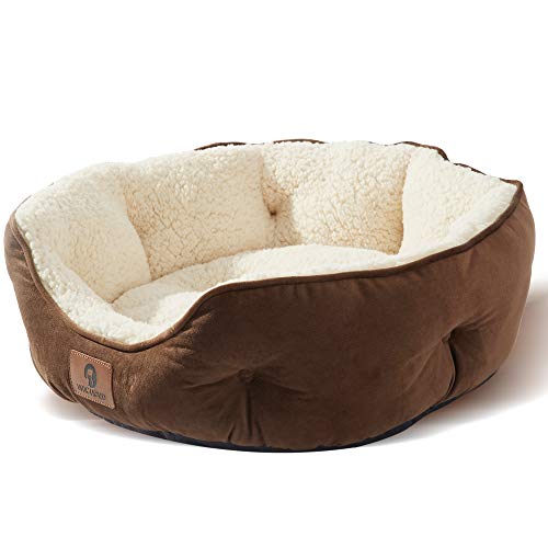 Small Dog Bed for Small Dogs, Cat Beds for Indoor Cats, Pet Bed for Puppy and Kitty, Extra Soft & Machine Washable