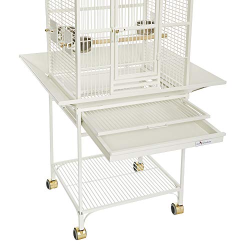 Avian Adventures Nina Playtop Bird Cage