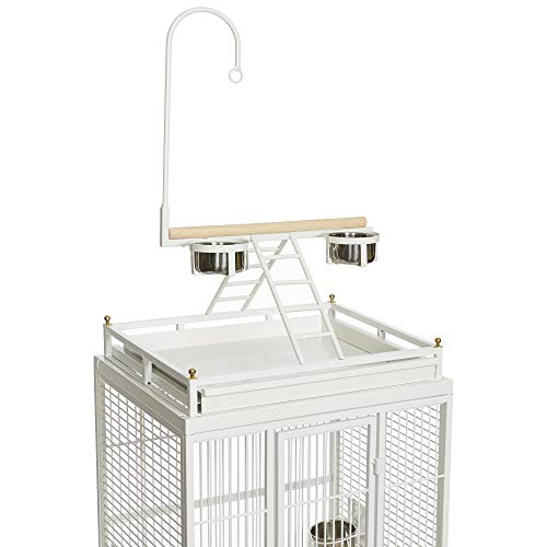 Avian Adventures Nina Playtop Bird Cage