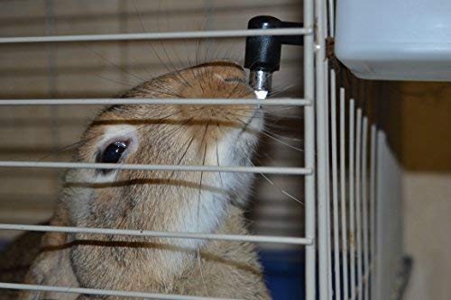 Small Animal Water Bottle. BPA Free. Best Water Bottle for Small Pet/Bunny/Ferret/Hamster