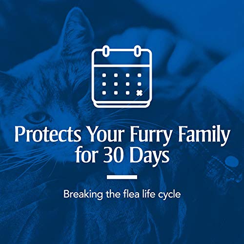 Flea & Tick Prevention for Cats (Over 1.5 lb), Includes 6 Month Supply of Topical Flea Treatments, white, 6 count