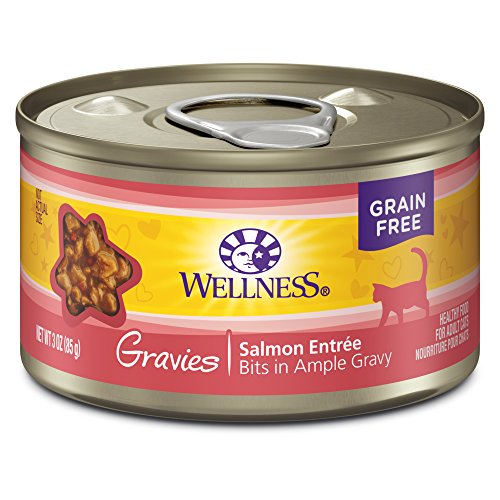 Wellness Complete Health Gravies Grain Free Canned Wet Cat Food, Salmon, 3 Ounce Can (Pack of 12)