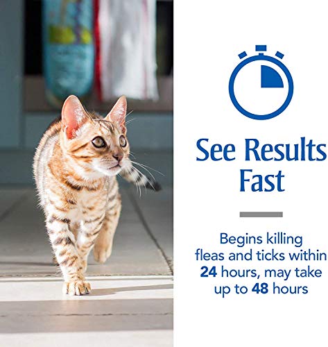 Flea & Tick Prevention for Cats (Over 1.5 lb), Includes 6 Month Supply of Topical Flea Treatments, white, 6 count