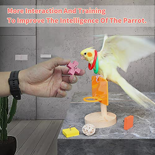 Bird Toys For Parakeets,5pcs Parrot Toys Set （Include Bird Basketball Toy