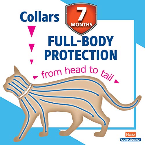 Hartz UltraGuard Pro Flea & Tick Collar for Cats and Kittens, 7 Month Flea and Tick Prevention and Protection, 1 Collar