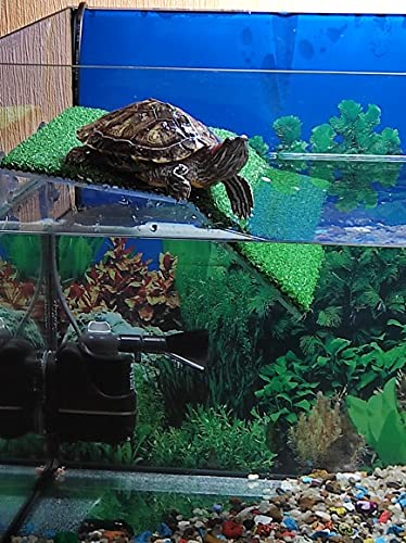ortoise Ramp Reptile Ladder Resting Terrace Fish Tank Aquarium Turtle Dock Floating Decor (Medium)