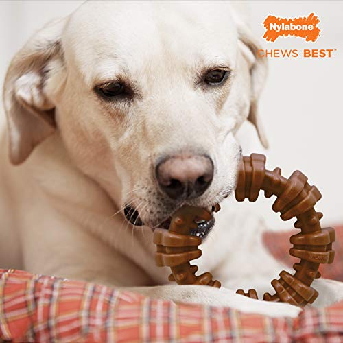 Nylabone Power Chew Textured Dog Chew Ring Toy Flavor Medley Flavor X-Large/Souper - 50+ lbs.