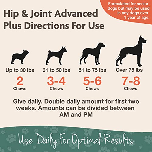 Senior Wellness Hip & Joint Advanced Plus Omegas – Help Support Your Pet’s Healthy Hip