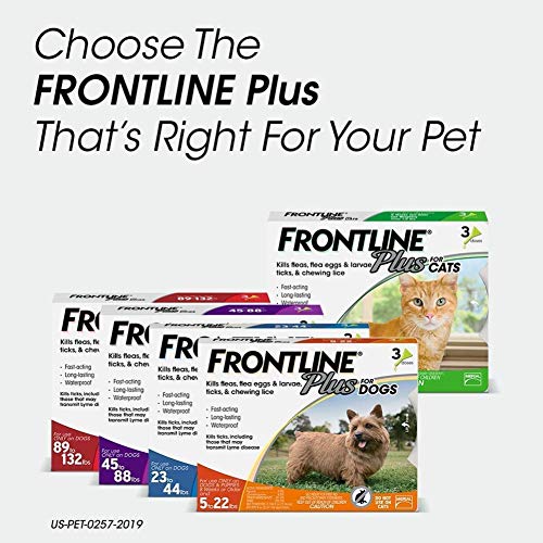 Frontline Plus Flea and Tick Treatment for Cats