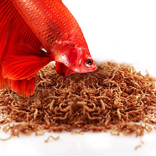 JOR Bloodworm for Betta, Freeze-Dried Treats for Siamese Fighting Fish and Other Aquatic Pets