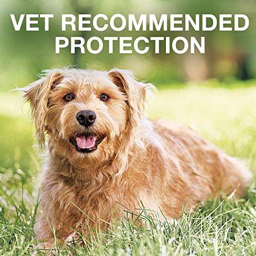 K9 Advantix II Flea and Tick Prevention for Extra-Large Dogs 1-Pack 4 Monthly Doses, Over 55 Pounds