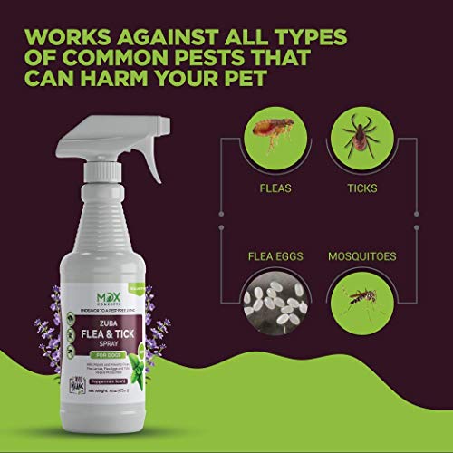 Organic Flea and Tick Control Spray for Dogs - Made in USA - Peppermint Oil