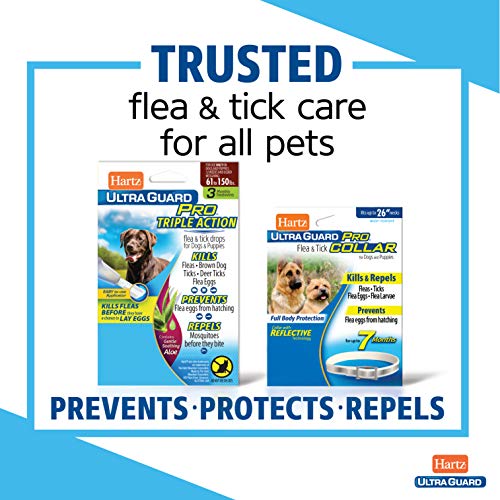 Hartz UltraGuard Pro Topical Flea & Tick Prevention for Cats and Kittens - 3 Monthly Treatments