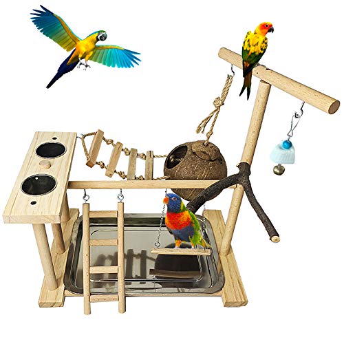 Parrot Playground Bird Playstand Wood Perch Gym with Feeder Cups Toys