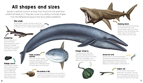 My First Encyclopedia of Fish: A Great Big Book Of Amazing Aquatic Creatures To Discover