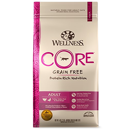 Wellness CORE Grain Free Dry Cat Food, Turkey, Turkey Meal & Duck Recipe, 5 Pound Bag