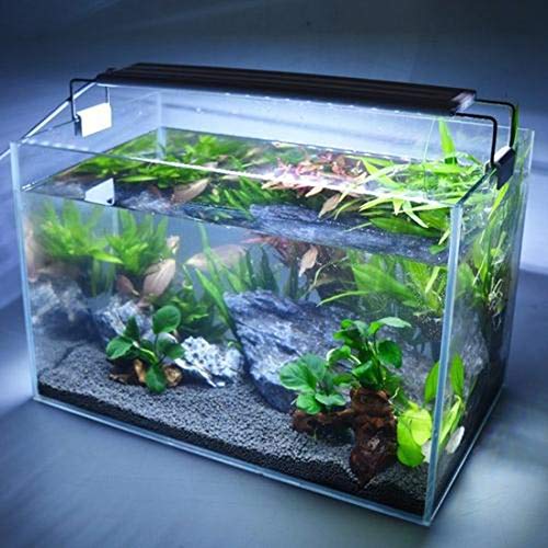 Bright Classic LED Aquarium Light, Reef Plant Fish Tank Light with Extendable Brackets