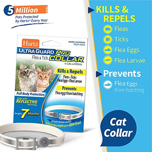 Hartz UltraGuard Pro Flea & Tick Collar for Cats and Kittens, 7 Month Flea and Tick Prevention and Protection, 1 Collar