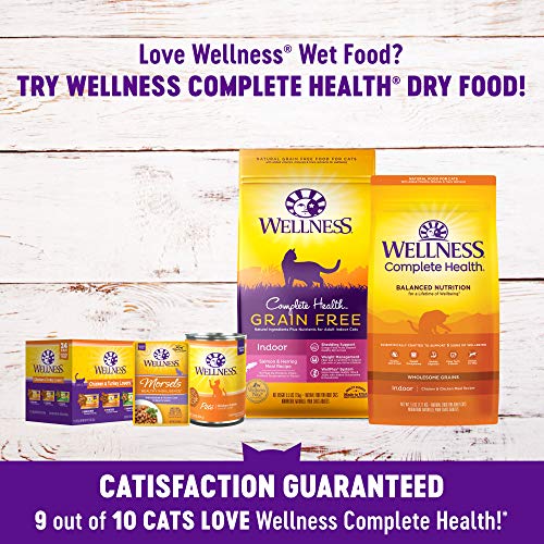 Wellness Complete Health Gravies Grain Free Canned Wet Cat Food, Salmon, 3 Ounce Can (Pack of 12)