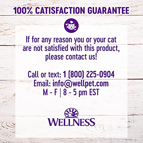 Wellness Complete Health Gravies Grain Free Canned Wet Cat Food, Salmon, 3 Ounce Can (Pack of 12)