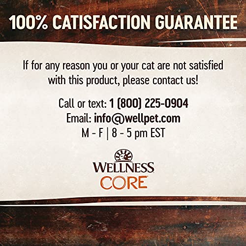 Wellness CORE Grain Free Dry Cat Food, Turkey, Turkey Meal & Duck Recipe, 5 Pound Bag