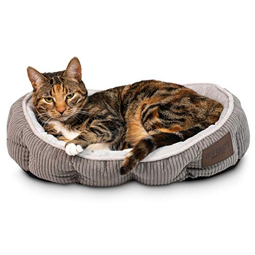 Pet Craft Supply Cat Bed for Indoor Cats, Kitten Bed, Machine Washable, Ultra Soft