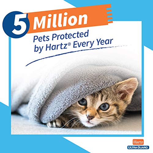 Hartz UltraGuard Pro Flea & Tick Collar for Cats and Kittens, 7 Month Flea and Tick Prevention and Protection, 1 Collar