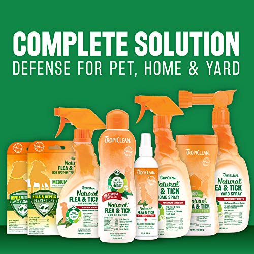 TropiClean Natural Flea & Tick Soothing Shampoo for Dogs, 1 gal - Made in USA