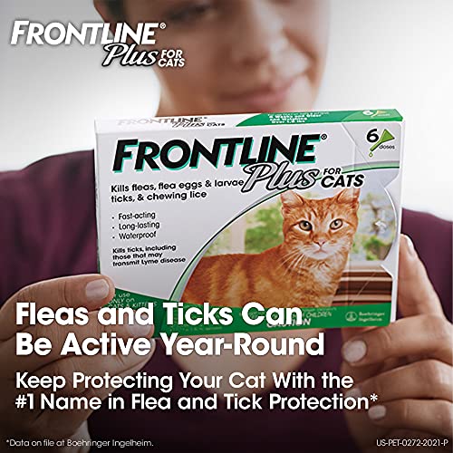 Frontline Plus Flea and Tick Treatment for Cats