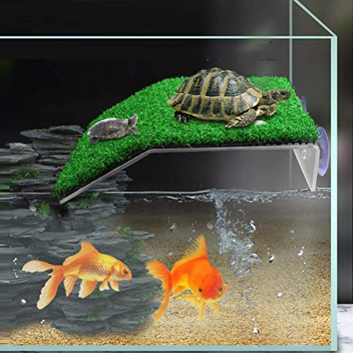 ortoise Ramp Reptile Ladder Resting Terrace Fish Tank Aquarium Turtle Dock Floating Decor (Medium)