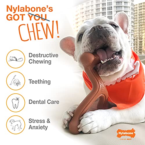 Nylabone Power Chew Textured Dog Chew Ring Toy Flavor Medley Flavor X-Large/Souper - 50+ lbs.