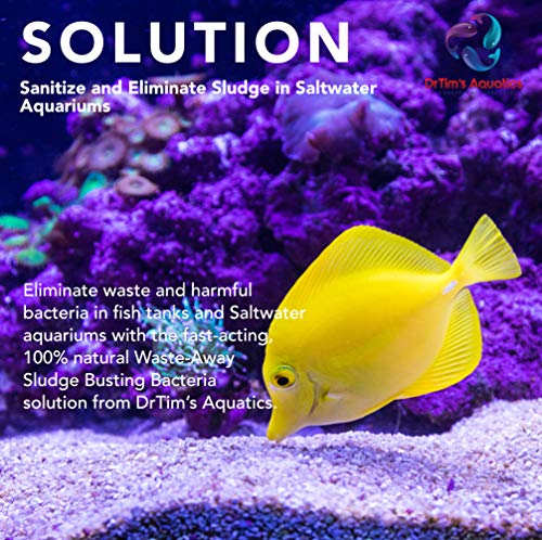 Aquatics Saltwater Waste-Away Sludge Busting Solution – for Saltwater Aquaria, Fish Tanks, Aquariums