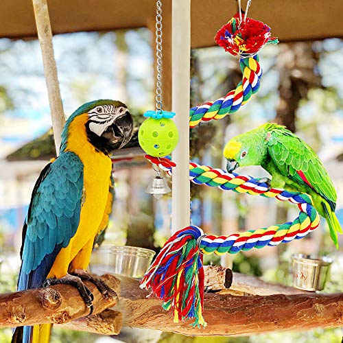 Small Bird Swing Toys Parrots Chewing Natural Wood and Rope Bungee Bird Toy