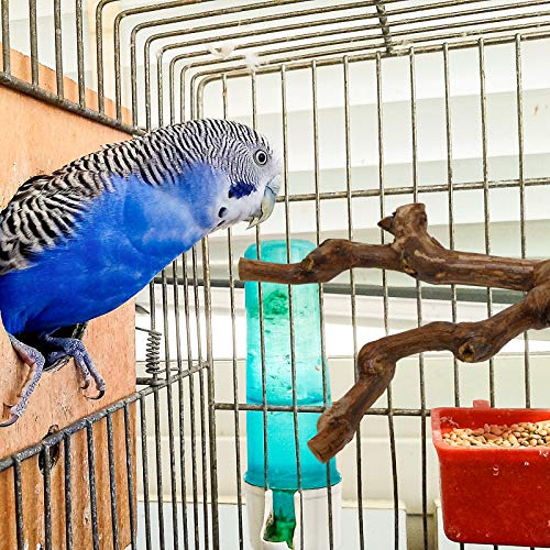 Parrot Bird Perches,Natural Wild Grape Stick Grinding Paw Climbing Standing Cage